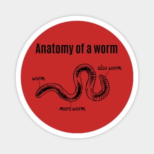 Anatomy Of A Worm Magnet